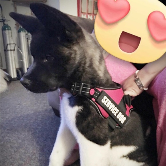 Meet your Posher, Mj - Picture 2 of 4